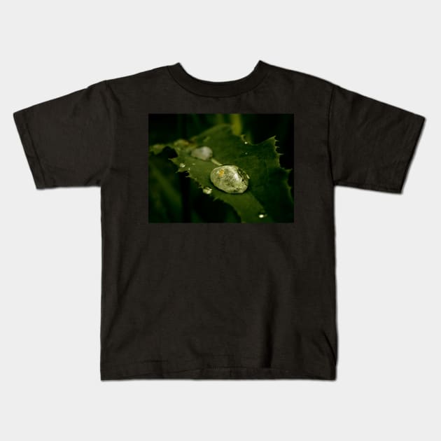 Drop of Water on a Leaf - macro photography Kids T-Shirt by JuicyJulsy